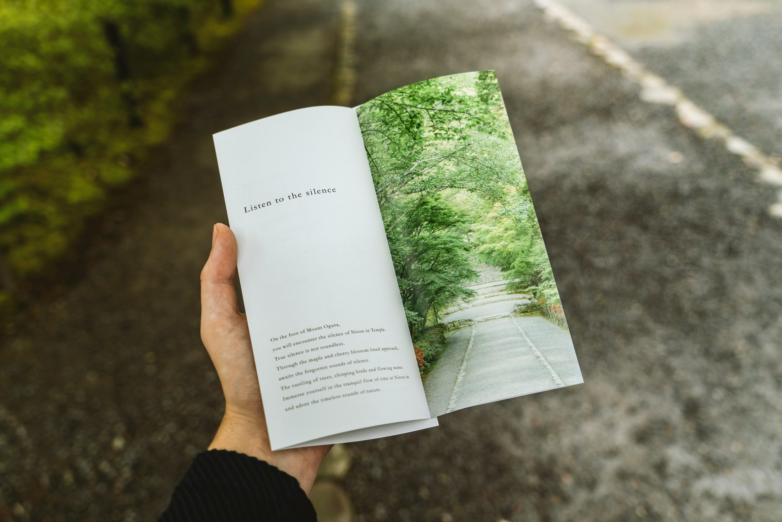 Flyers & Brochures