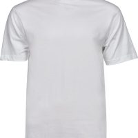 TJ1000 Tee Jays Men's Basic Tee (Var 02)