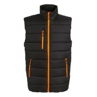 TRA892 Regatta Professional Men's Navigate Thermal Bodywarmer (Var 02)