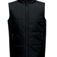 TRA842 Regatta Professional Access Insulated Bodywarmer (Var 01)