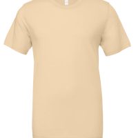 CA3001 Bella Canvas Unisex Jersey S/S Tee (Var 02)