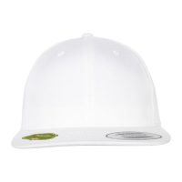 6089OC Flexfit Organic Cotton Snapback (Var 02)