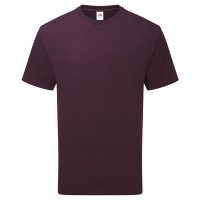 61362 Fruit Of The Loom Pure Cotton T (Var 02)