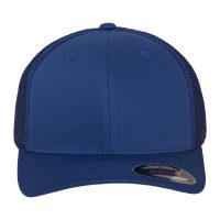 6511 Flexfit Flexfit Mesh Trucker (Var 02)